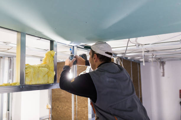 Best Insulation Contractors for Homes  in Benavides, TX