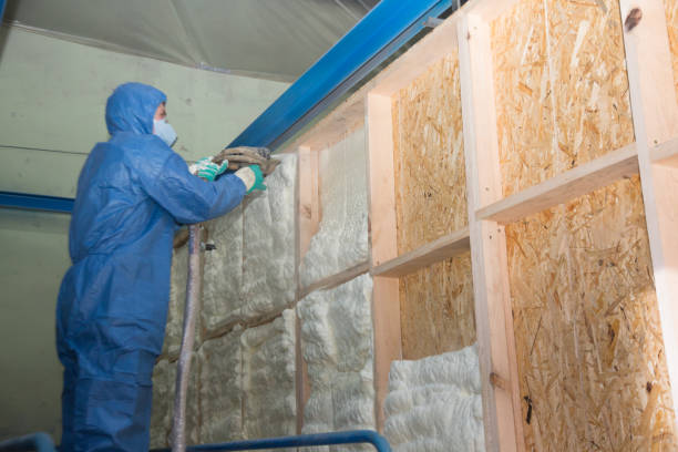 Best Attic Insulation Installation  in Benavides, TX