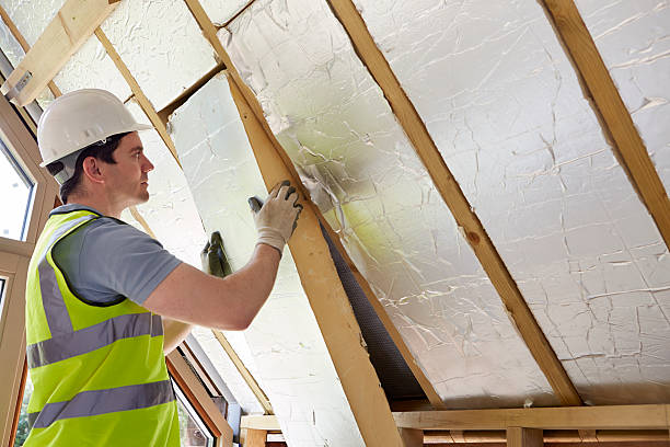 Best Spray Foam Insulation  in Benavides, TX