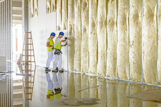 Best Wall Insulation Contractor  in Benavides, TX